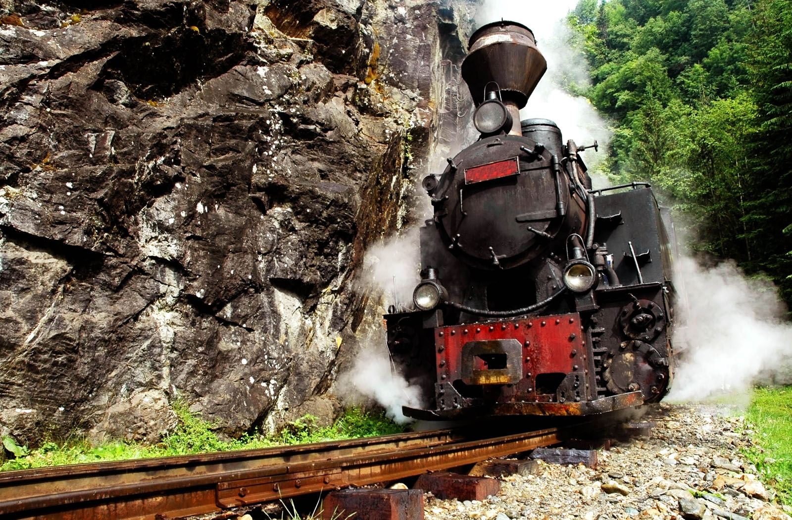 The Shepherdess Steam Train