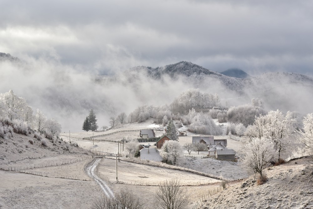 Rural landscape in the winter