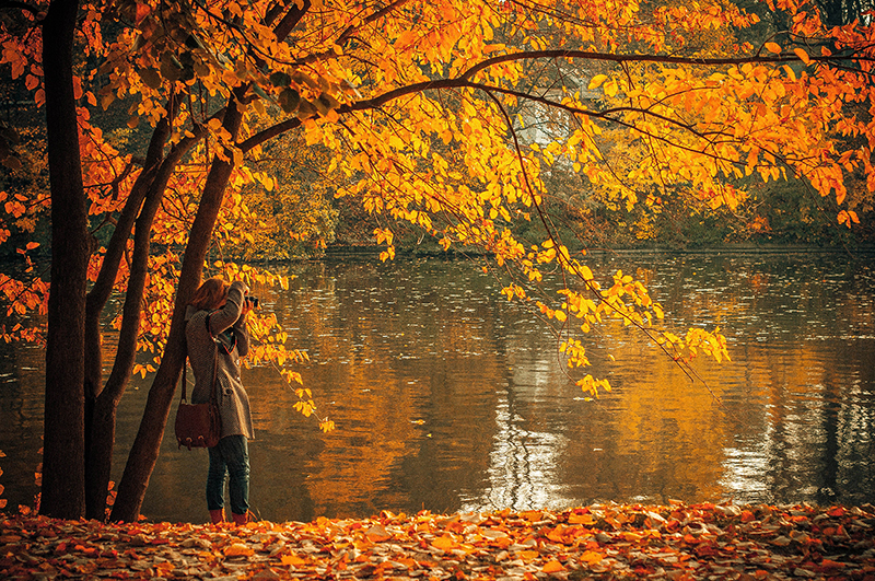 Herastrau Park