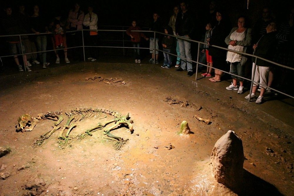 Bear skeleton in the Bears' Cave