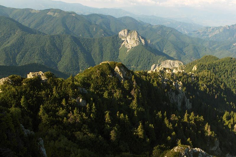 Buila-Vânturarita National Park