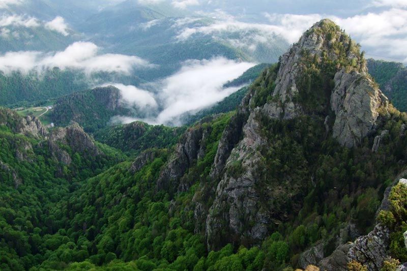 Cozia National Park