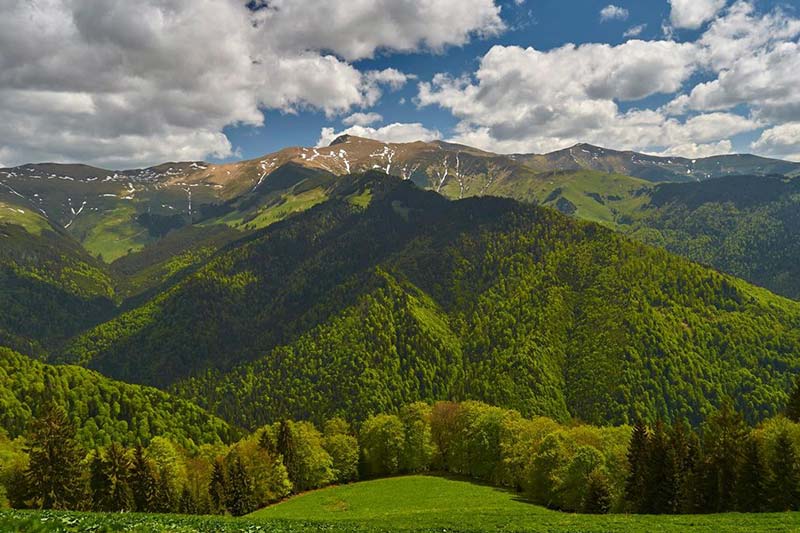 The Rodnei Mountains National Park