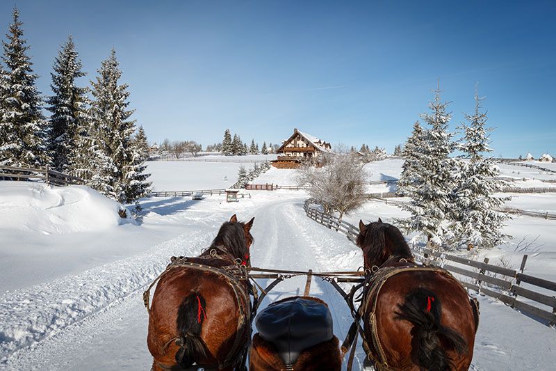Romanian winter