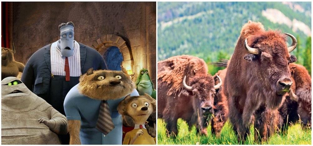 Hotel Transylvania
