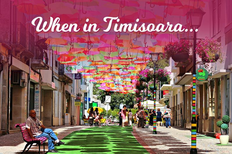 Things to do in Timisoara