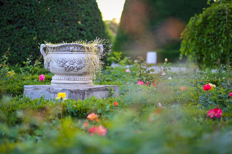 Rose Park Timisoara