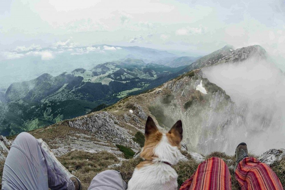 View over Carpathian Mountains