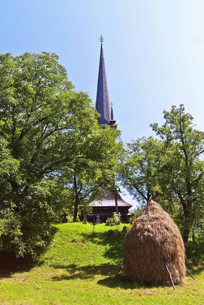 Surdești Church