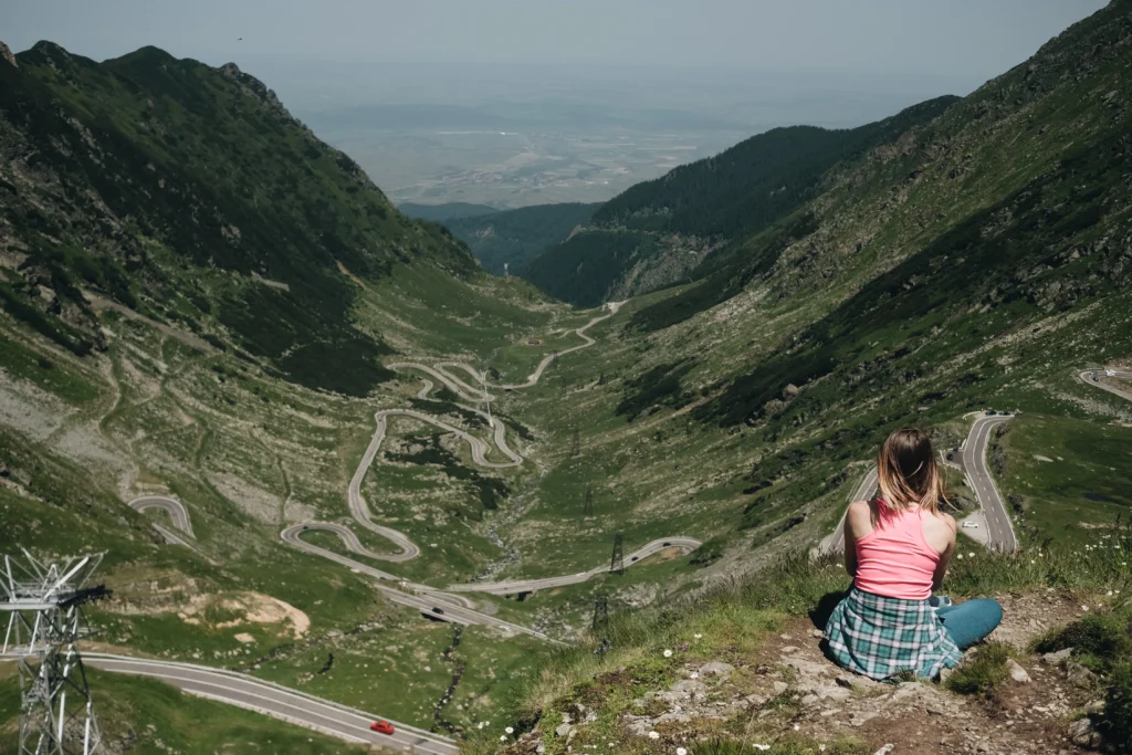 dmc services rolandia