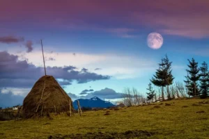 Best of Romania in 10 Days — Rolandia tour