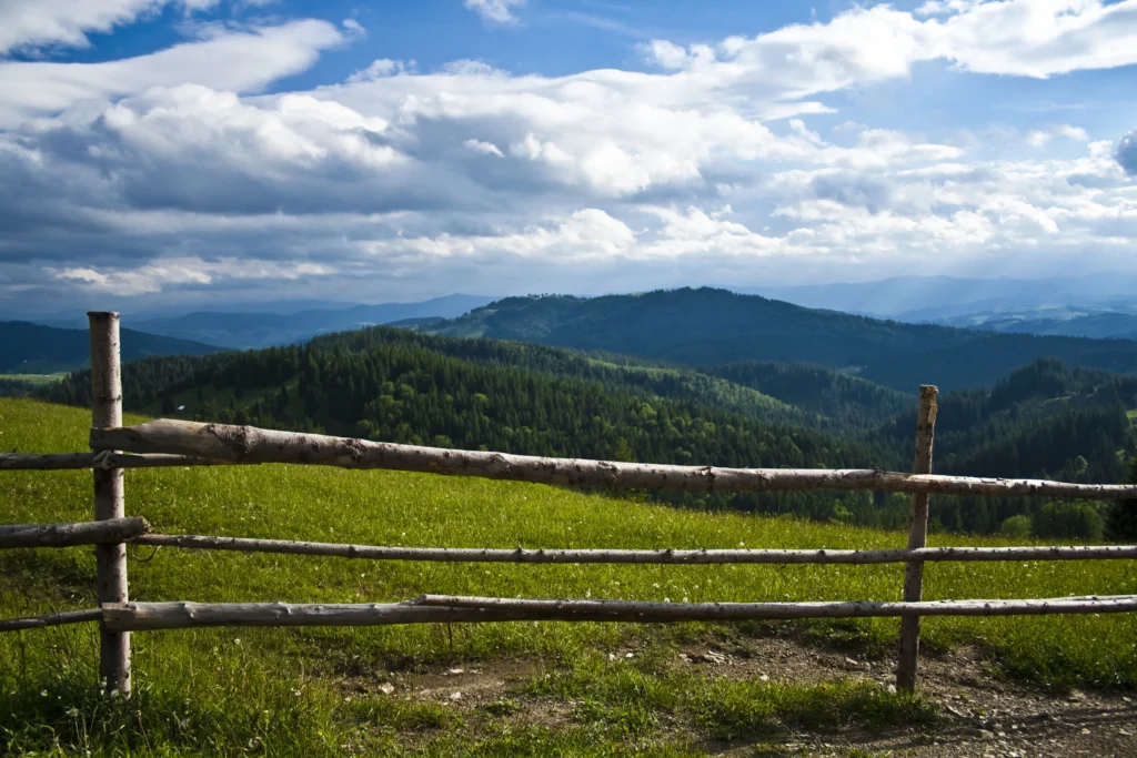 bucovina landscape