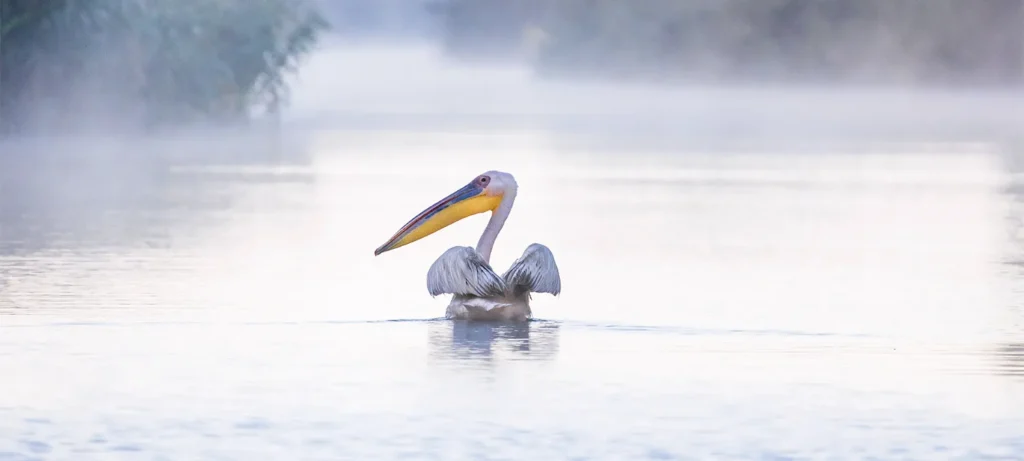 national parks in romania