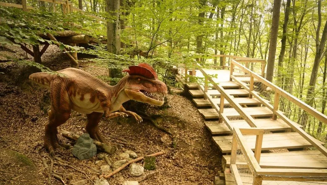 dino park rasnov