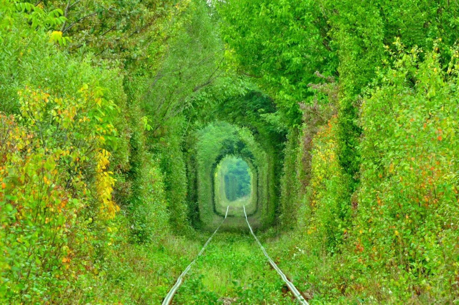 love tunnel