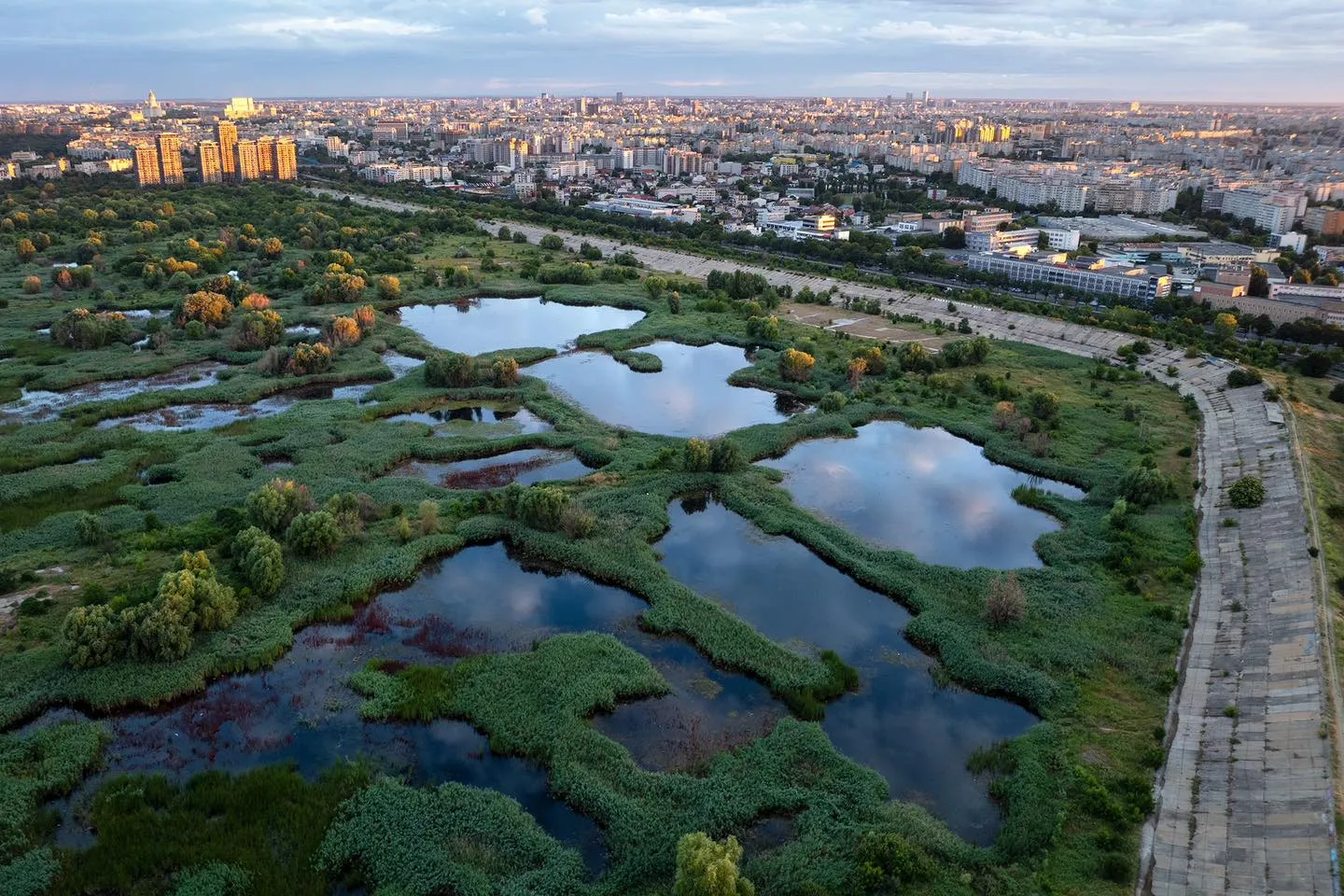 vacaresti natural park