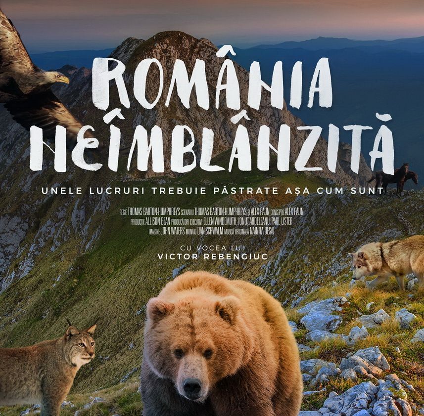 romania neimblanzita