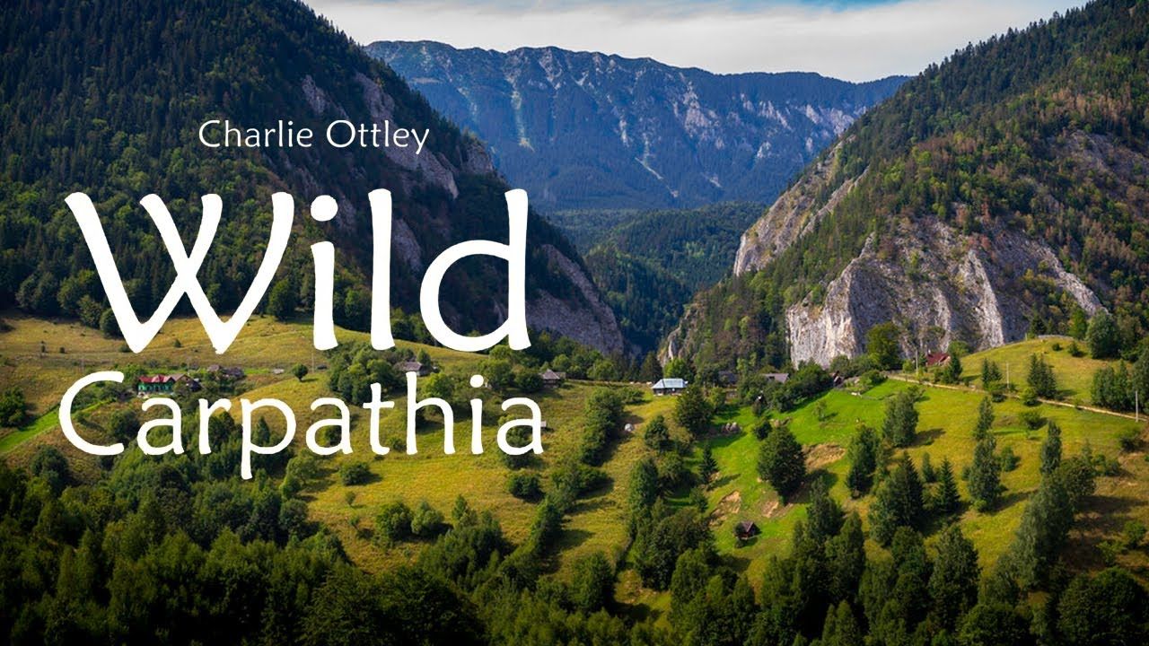 wild carpathia