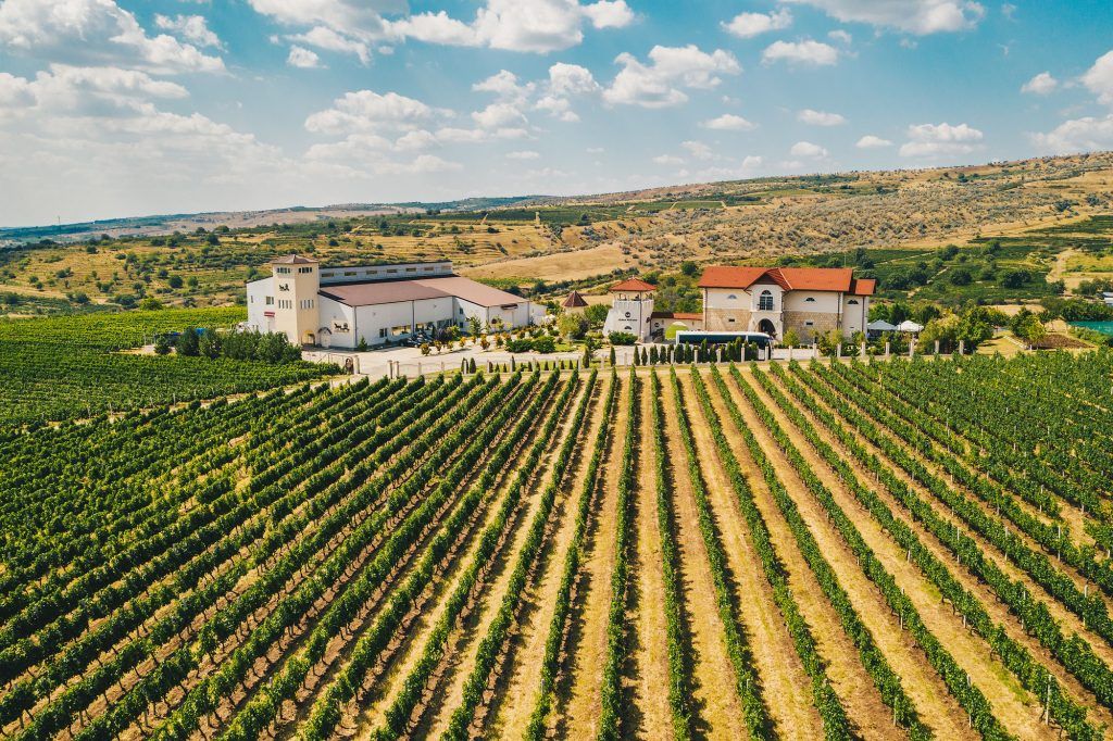 Golf Course in Romania: Where to Play and What to Expect 12 Dealu Mare Winery