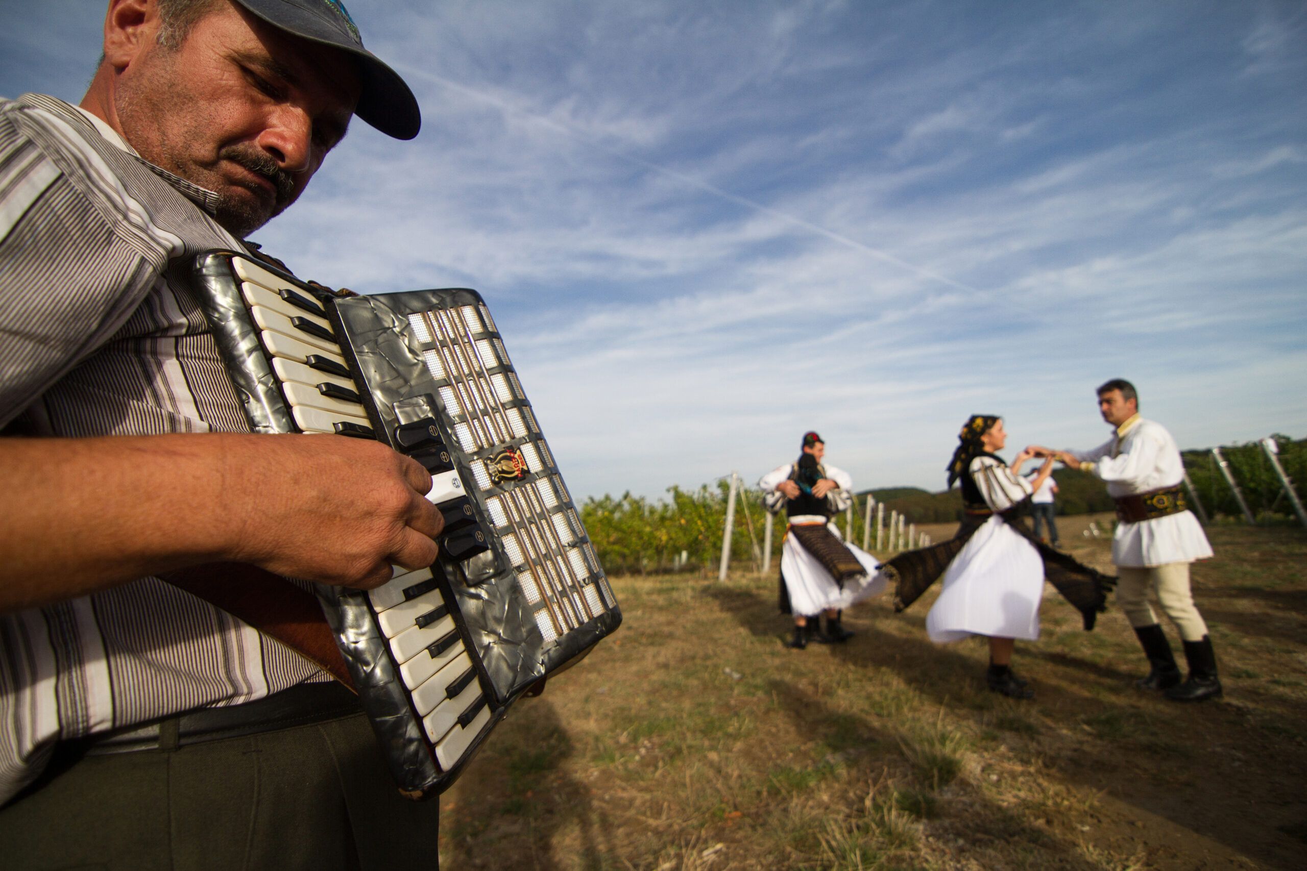 Romanians dancing in the vineyard