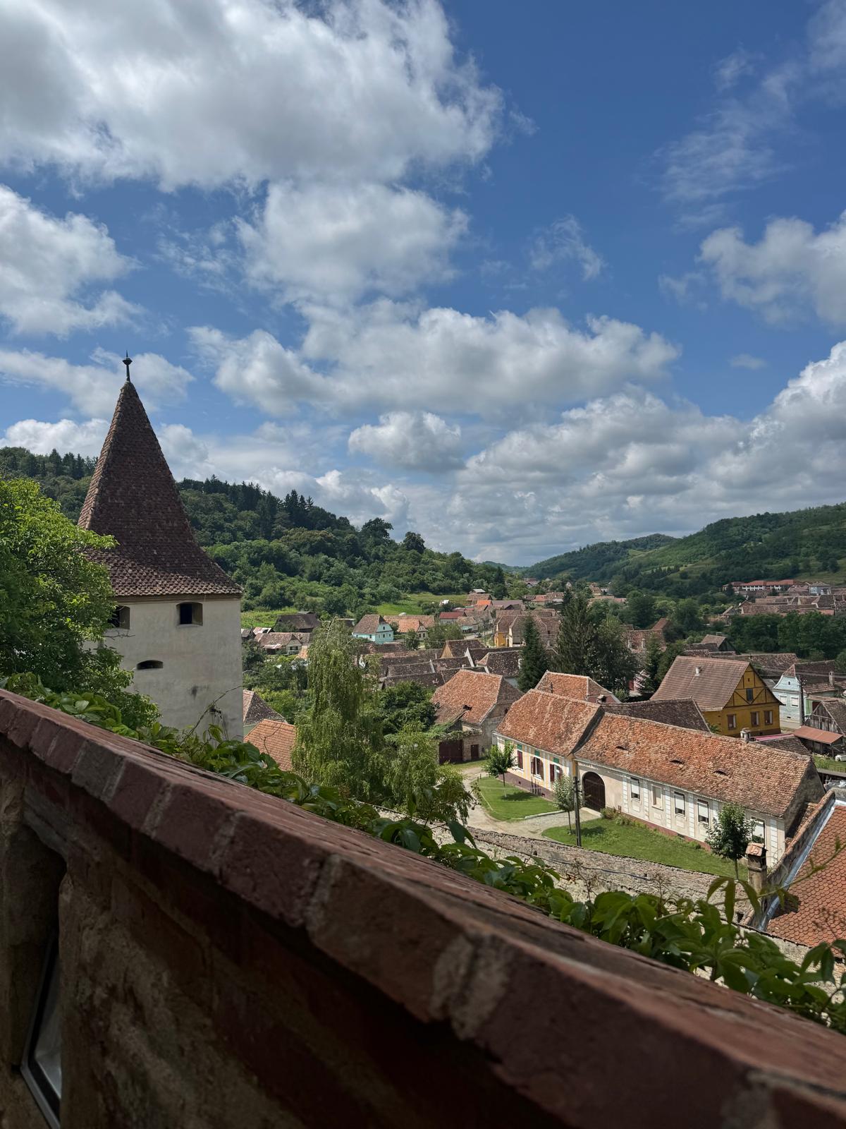 A Complete, In-Depth Guide to Planning a Danube Cruise Romania Extension 3 transylvania
